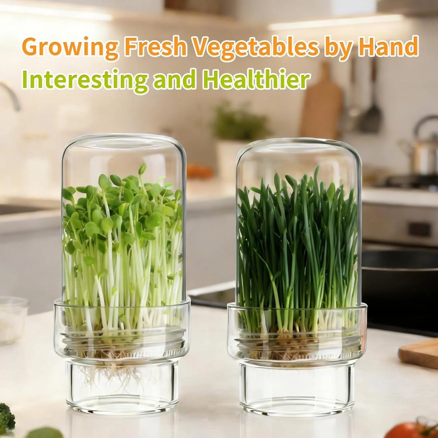 đ± Upgraded Sprouting Jar Kit â Fresh Healthy Sprouts in Days âš