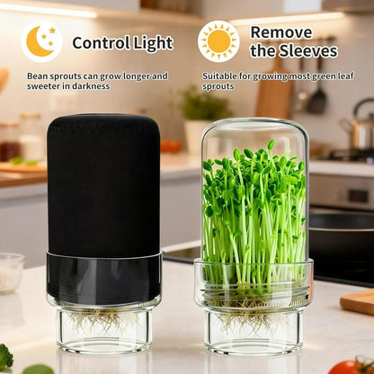 🌱 Upgraded Sprouting Jar Kit – Fresh Healthy Sprouts in Days ✨