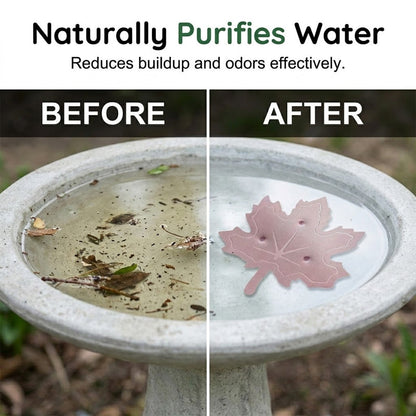 ⏳Buy One, Get One Free🌿Universal Fit Bird Bath Cleaner🐦💦Wildlife-Safe Leaf Purifier for Fresh, Clear Water in Any Garden Basin | Rust-Resistant & Low Maintenance🛡️✨