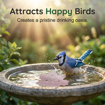 ⏳Buy One, Get One Free🌿Universal Fit Bird Bath Cleaner🐦💦Wildlife-Safe Leaf Purifier for Fresh, Clear Water in Any Garden Basin | Rust-Resistant & Low Maintenance🛡️✨